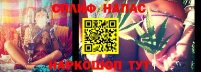 молекула духа Гатчина