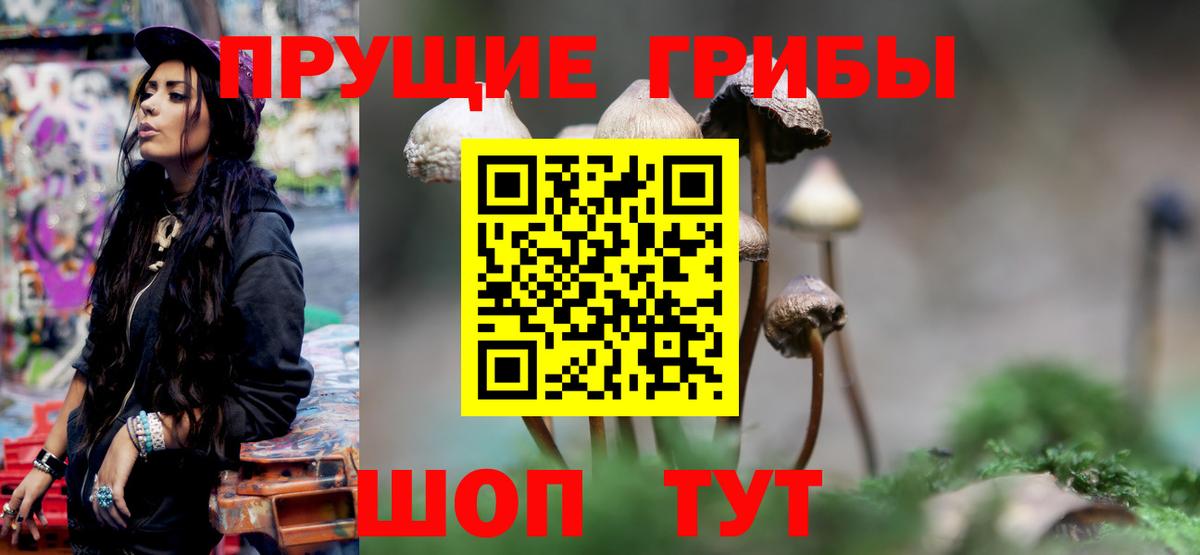Псилоцибиновые грибы прущие грибы Коряжма